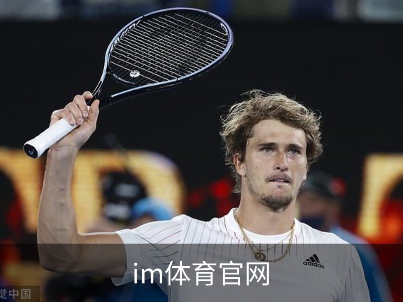 im体育官网简介